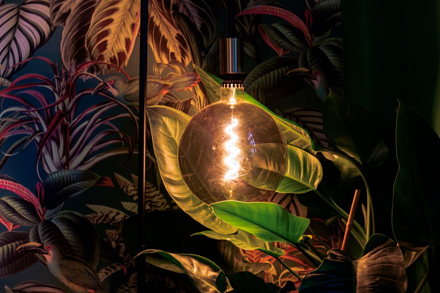 3d printed lamp — Decorative vintage light bulb glowing amidst lush tropical leaves for a warm ambiance