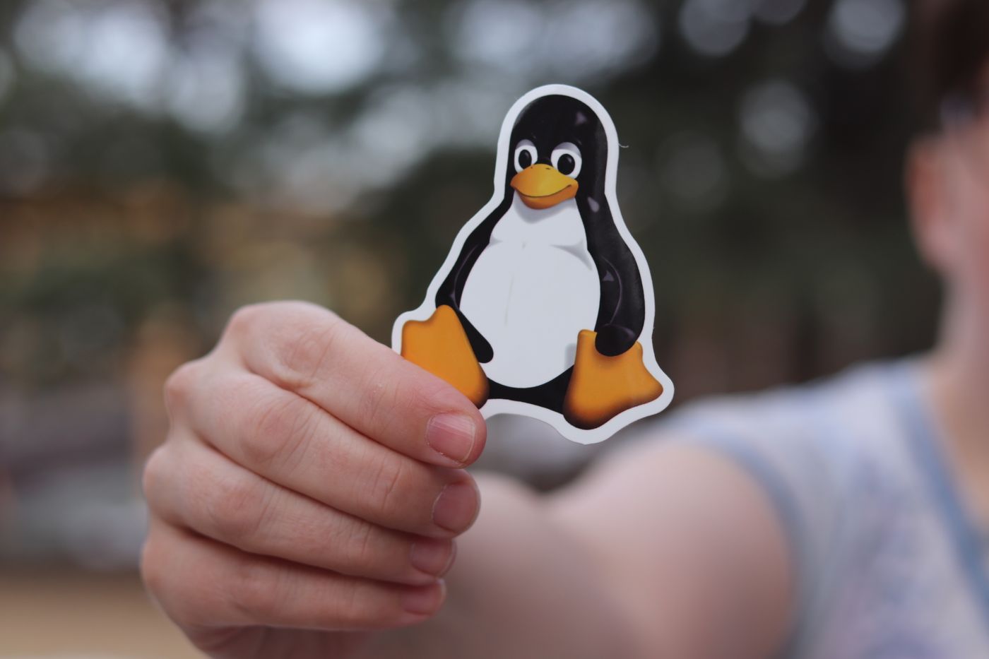vinyl sticker printing — A close-up shot of a hand holding a penguin sticker against a blurred outdoor background